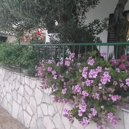 بريست Apartmani M&M المظهر الخارجي الصورة